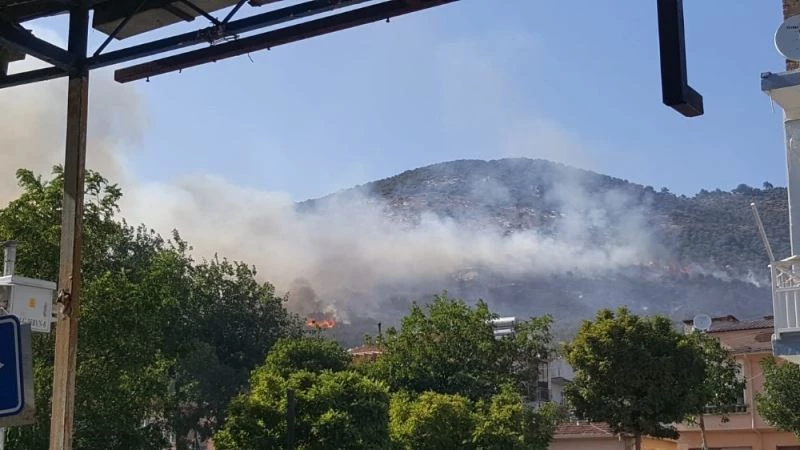 Evde çıkan yangın zeytinliğe sıçradı
