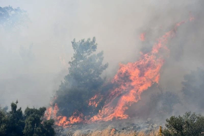 Güllübahçe Antik Kenti’nde yangın
