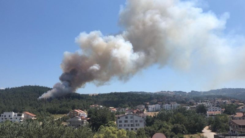 Bursa’da orman yangını...Alevler villalara yaklaşıyor
