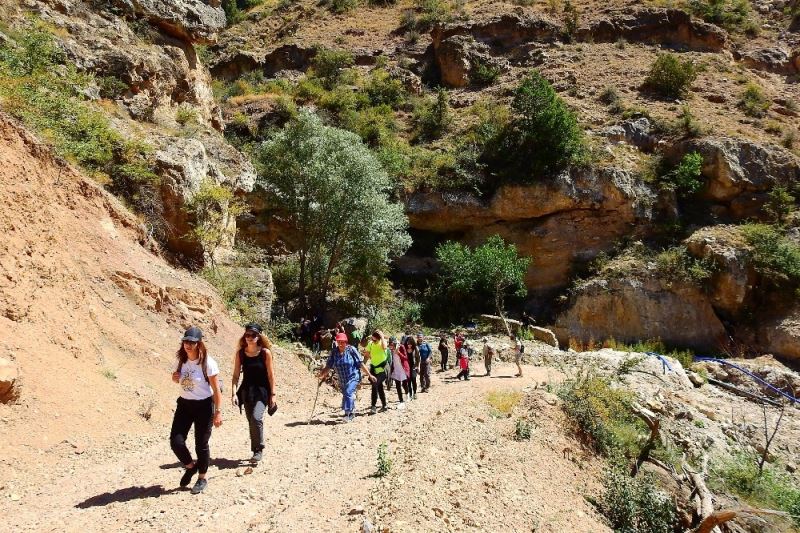 Pandemi sürecinde doğa yürüyüşlerine ilgi arttı
