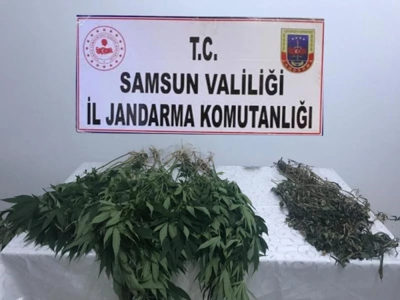 Salıpazarı’nda esrar operasyonu:2 gözaltı
