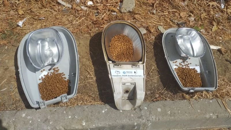 Sokak hayvanları için armatür başlıklı proje
