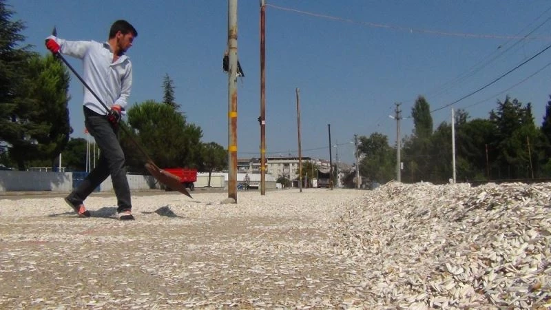 İnegöl özüne geri döndü, Çin yerine yerli çekirdek
