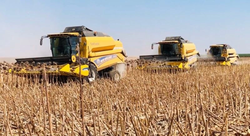 Tarımın yüz akı TİGEM’de ayçiçeği hasadı
