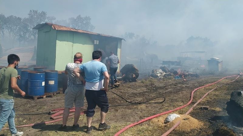 Bursa’da çiftlikte çıkan yangın ormana sıçradı: 20 küçükbaş telef oldu
