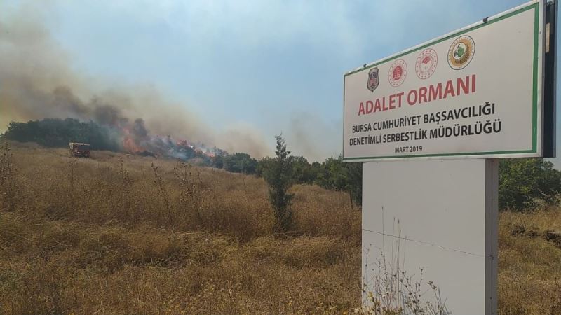 Bursa’da çiftlikten ormana sıçrayan yangın kontrol altına alındı
