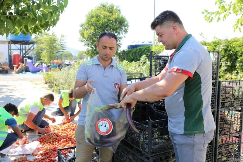 Yerel tohumdan üretilen ürünler, ihtiyaç sahiplerine ulaştırılıyor
