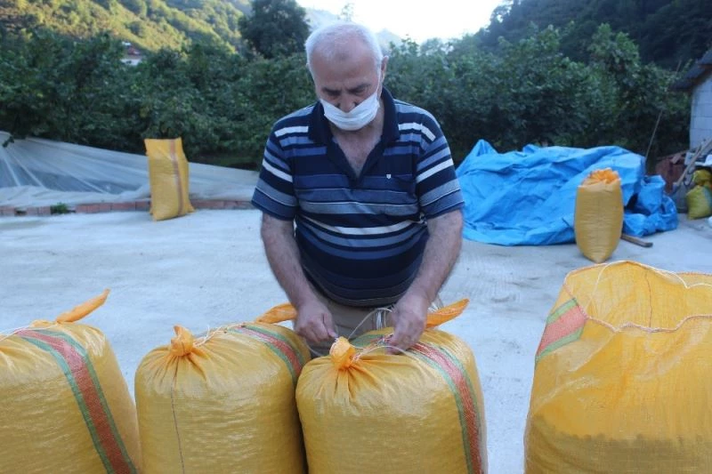 Fiskobirlik fındığı hem peşin hem de piyasa fiyatının üzerinde alıyor
