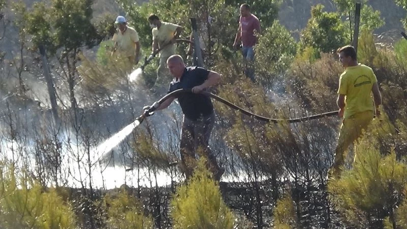 Gençleştirme sahasında orman yangını çıktı
