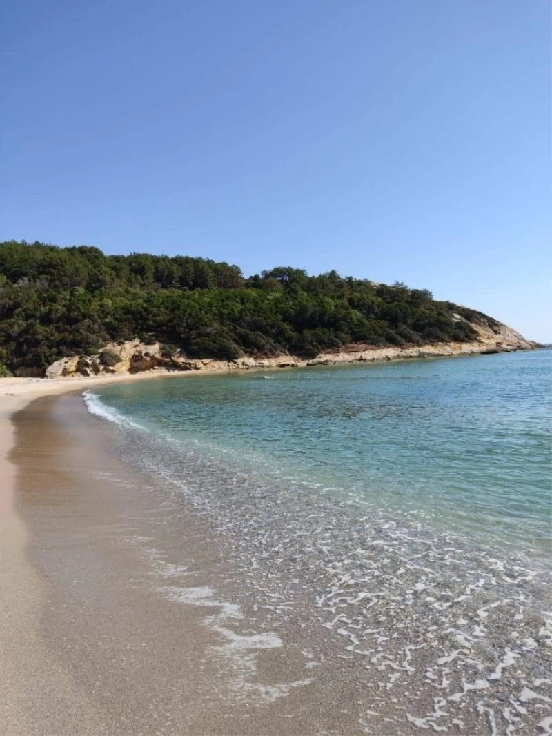 Salgın nedeniyle Çamlıkoy Tabiat Parkındaki işletmede faaliyetler durduruldu
