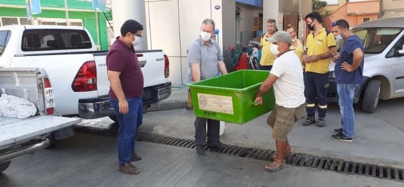 Ölü sanılan caretta caretta canlı çıktı
