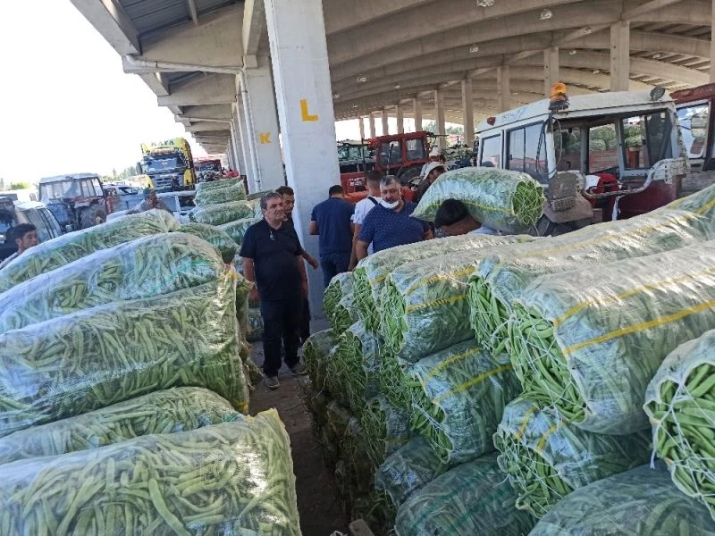 Fasulye üreticisinin yüzü fiyatların yükselmesi ile gülmeye başladı
