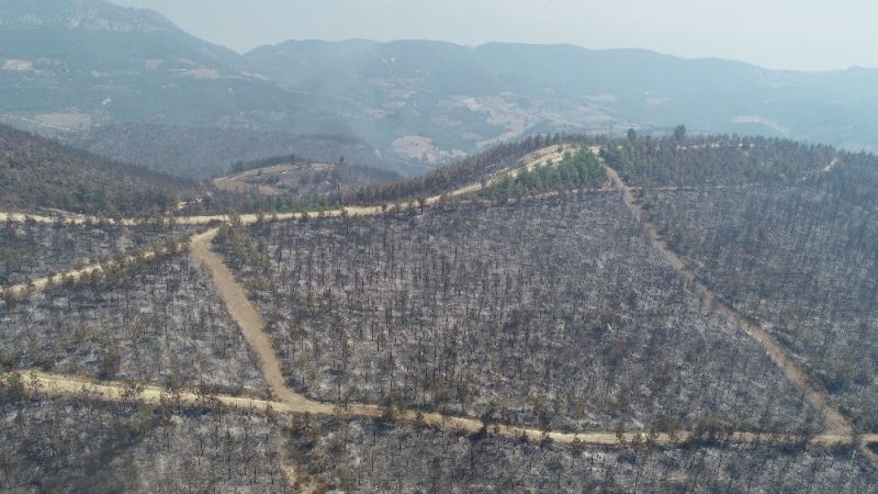 Adana’daki yangında tahribatın büyüklüğü böyle görüntülendi
