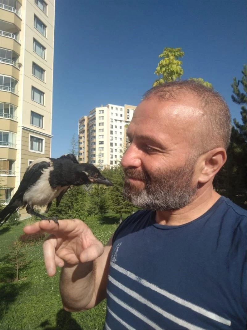 Gazeteci ve saksağanın kıskandıran dostluğu
