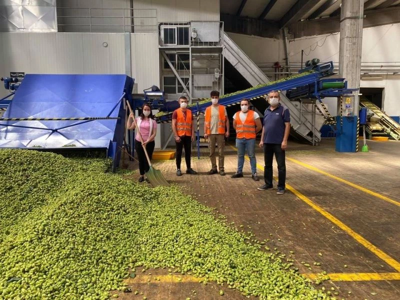 Başkan Tekin şerbetçiotu işleme fabrikalarını ziyaret etti
