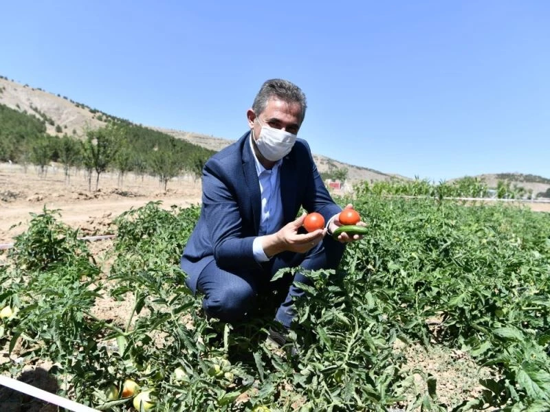 Mamak tarımda hedef büyütüyor
