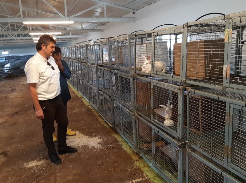 Türkiye’de bir ilk başararak kurduğu tavşan eti çiftliğinde &quot;D