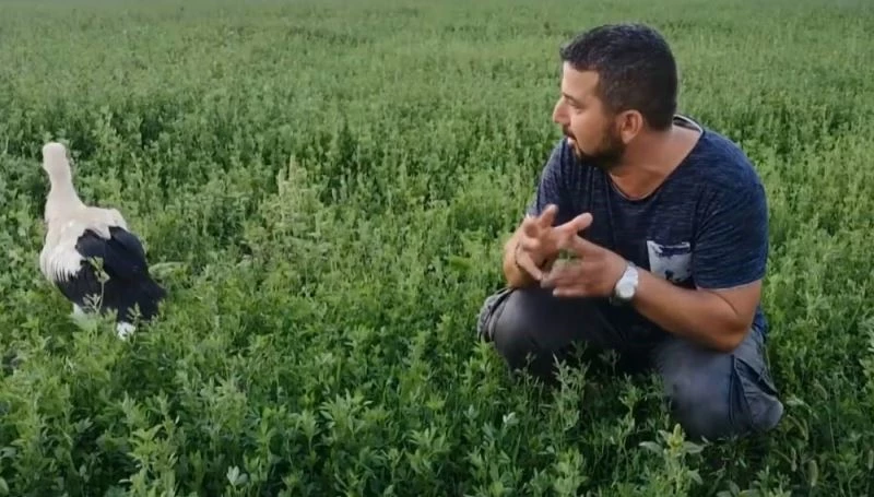 Yuvadan düşen leyleği uçana kadar elleriyle besledi
