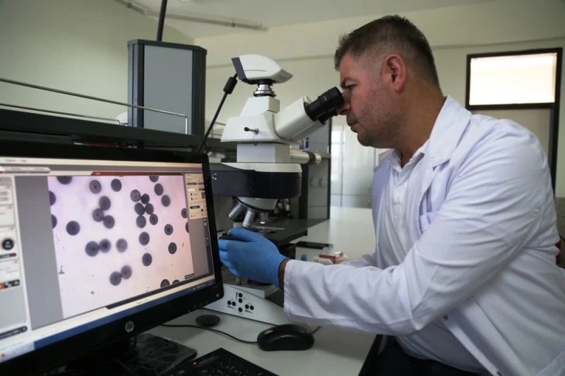 ASÜ’lü bilim insanından kırık tedavileri için yeni keşif
