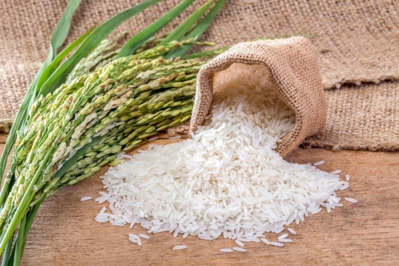 ’’Pirinç, kontrollü bir şekilde tüketildiğinde, sağlıklı ve besleyici bir besindir’’
