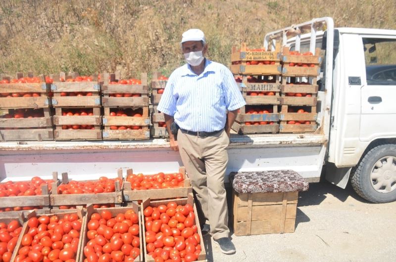 Salçalık domatesler pazarda yerini aldı
