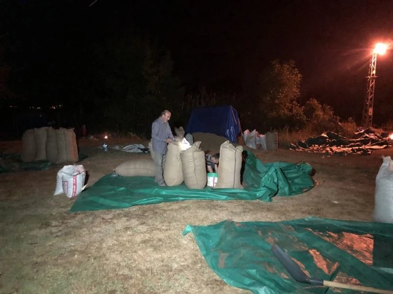 Fındık üreticilerinin harman nöbeti
