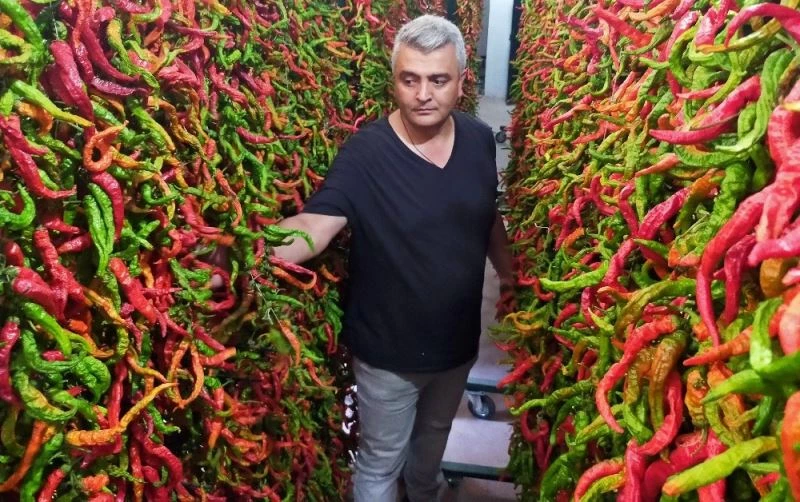 Edirne’de ciğerci esnafı 80 ton acı biber kurutuyor
