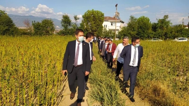 Tarih, toprak altından çıkarılmayı bekliyor
