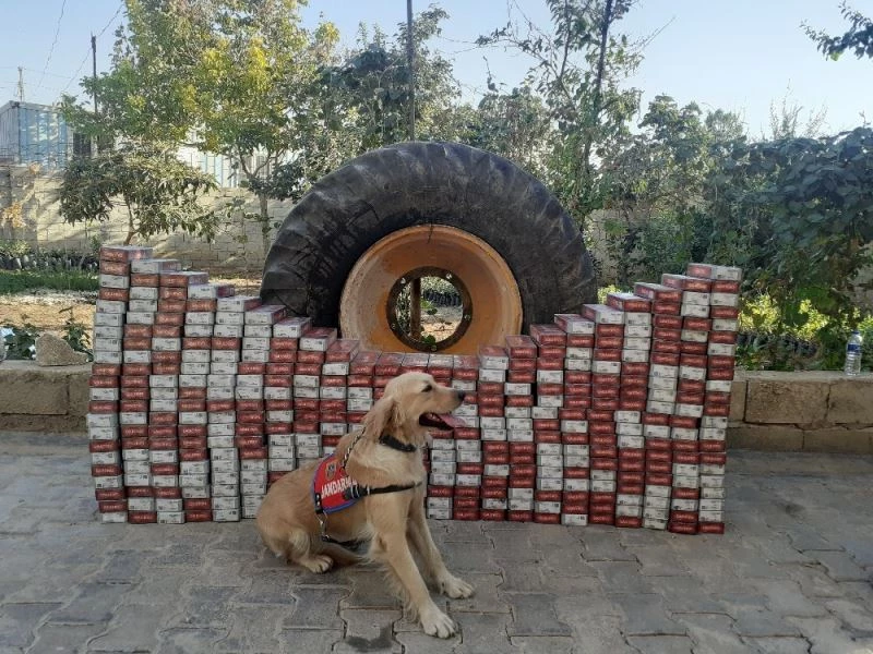 İş makinesinin lastiğinden kaçak sigara çıktı
