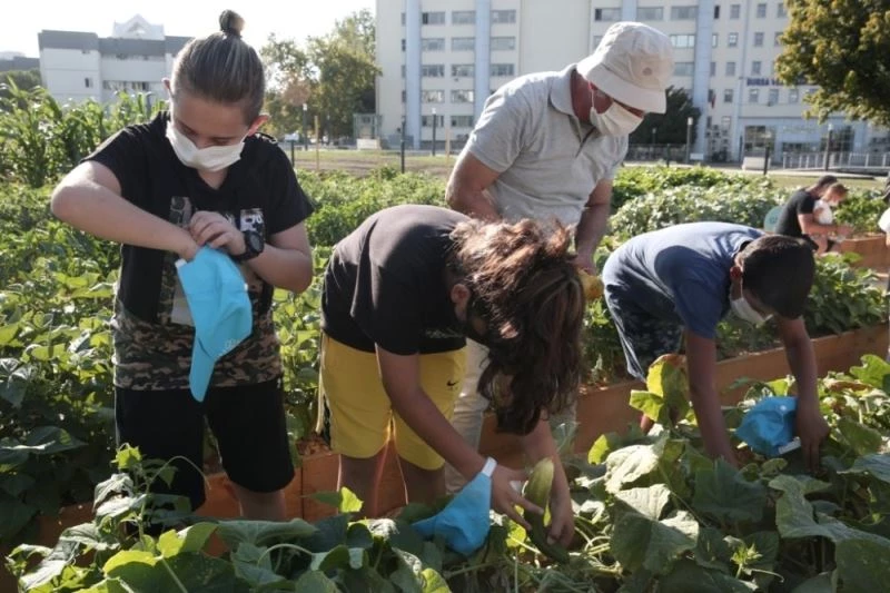 Yeni nesil tarımla tanışıyor
