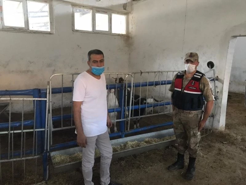 Kayıp hayvanları, jandarma 12 kilometre uzaklıkta buldu
