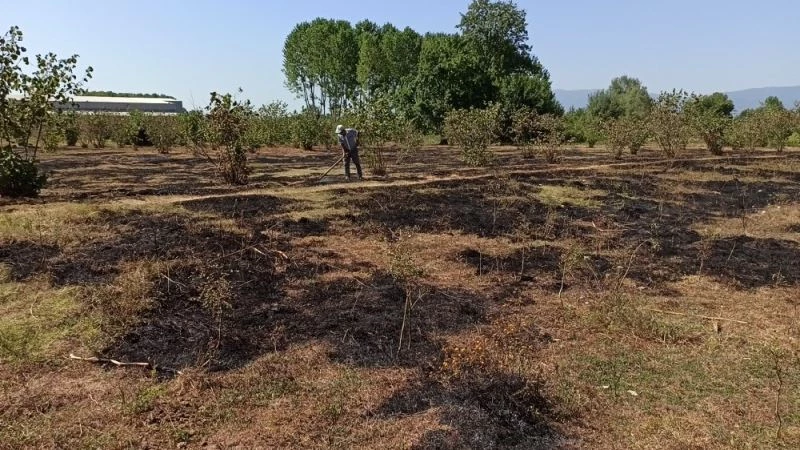 Anız yakarken dumanların arasında kaldı
