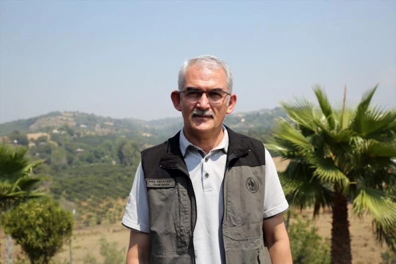 Orman yangınlarının yüzde 84