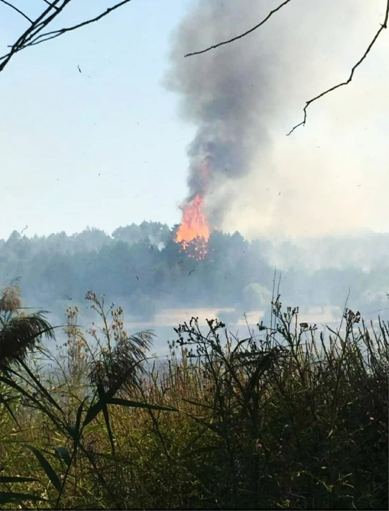 Konya’da yakılan anızlar ormanlık alana sıçradı
