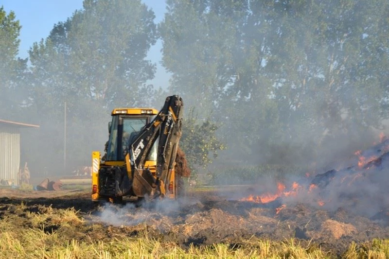 Biga’da hayvan damında yangın: 12 hayvan telef oldu
