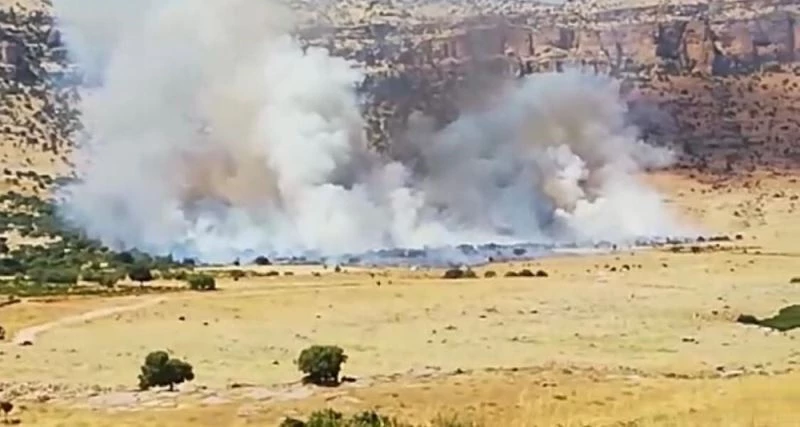 Kızıltepe’de 500 dönümlük ağaçlık alanda çıkın yangın gece boyunca devam etti
