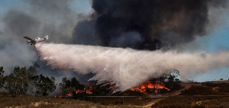 İspanya’da çıkan orman yangını hızla yayılıyor
