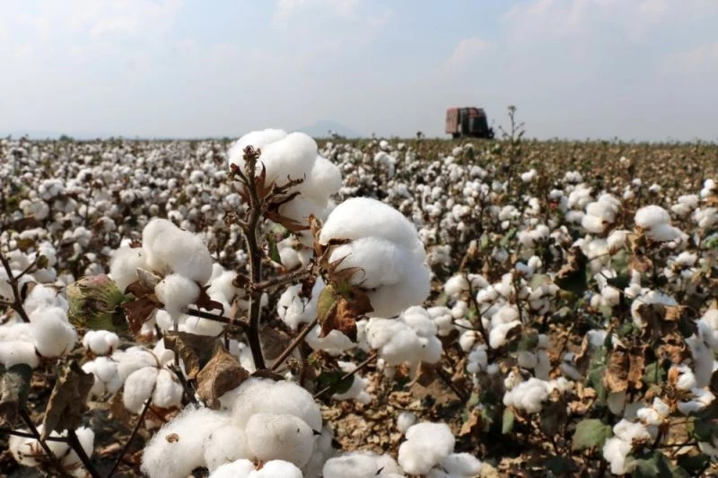 Adana Çiftçiler Birliği Başkanı Doğru: 