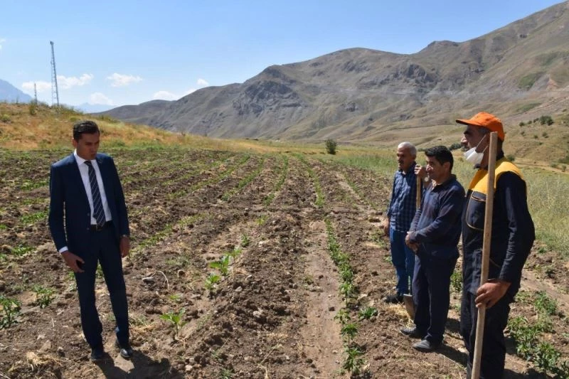 Vali Yardımcısı Kumbasar, hayata geçirilen projeleri denetledi
