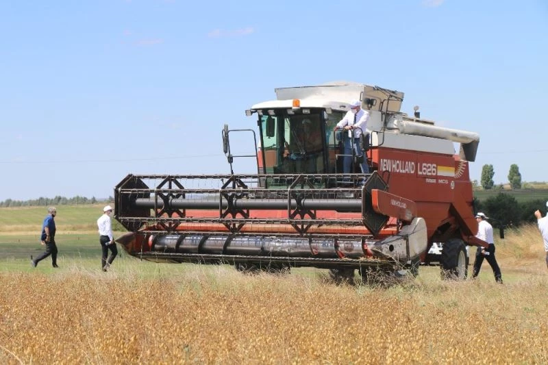 Belediyenin nohutları aşevinde yemek olup sofralara gidecek
