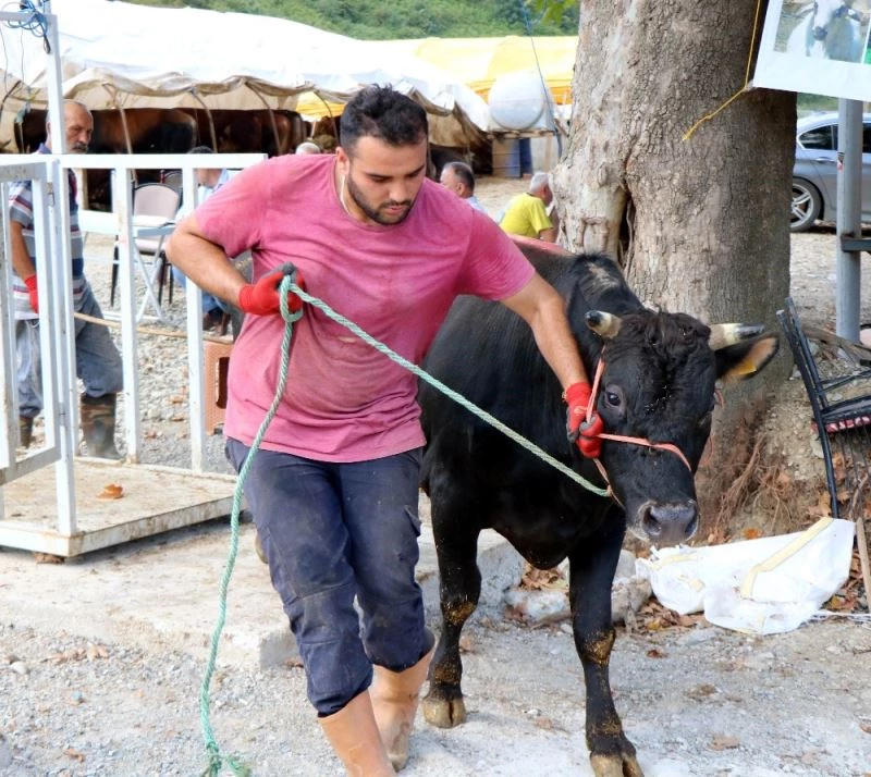 Samsunlu besiciler bu kurbanda umduğunu buldu
