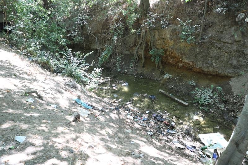 Denizli’de atıl durumda ki Şemikler Vadisi Doğal Yaşam Parkı olacak
