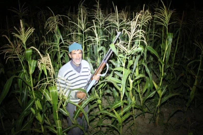 Kaleboğaz köyünde bostan nöbeti
