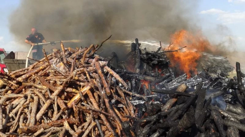 Yol kenarına atılan sigara izmariti 10 ton odunu küle çevirdi
