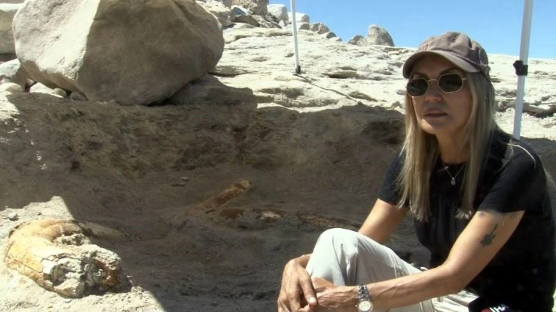 (Özel) Zamanın Afrikası Kayseri’deki fosiller Anadolu tarihine ışık tutuyor
