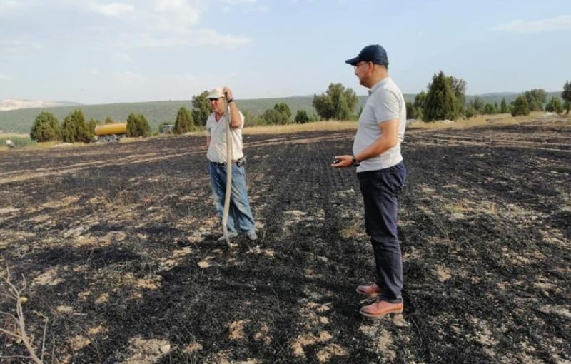 Tavşanlı’daki yangında 10 hektarlık alan zarar gördü
