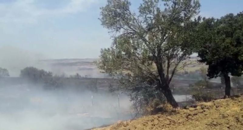 2 bin dönüm anız kül oldu, yangını görüntüleyen çiftçi muhabirliğe özendi
