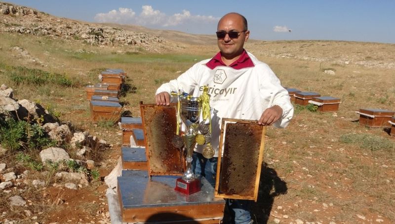 Kupalı, madalyalı organik Eğriçayır balında hasat coşkusu
