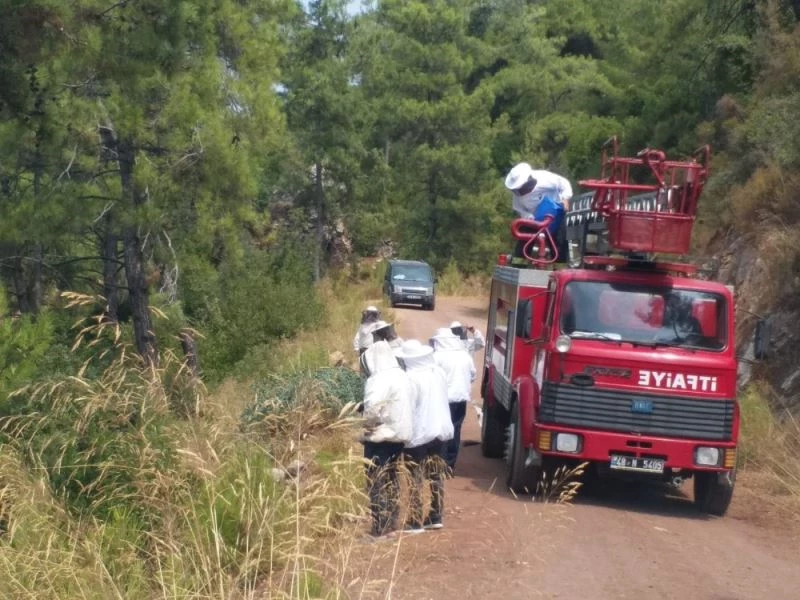 İtfaiye ekipleri bu defa arıların kızgınlığını gidermek için görev yaptı
