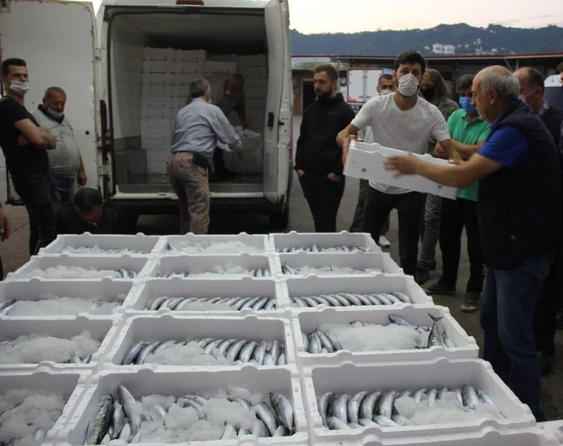 Rize’de denize açılan balıkçılar kasalar dolusu palamutla döndü
